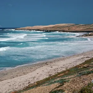 Red Eye Beach, San Nicolas Island