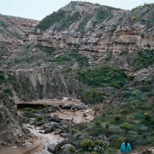 Canyon east of triangle spur, northeast side of island, San Nicolas Island