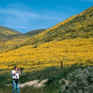 Highway 58, Temblor Range