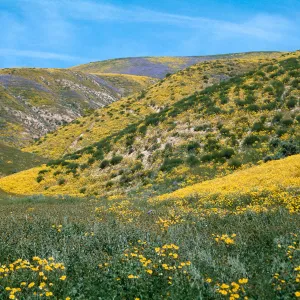 Highway 158, Temblor Range