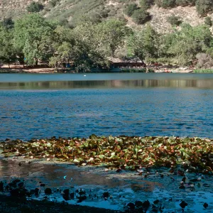 Zaca Lake