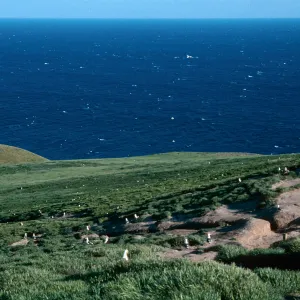 Santa Barbara Island