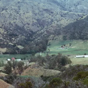 Santa Cruz Island, Stanton Ranch