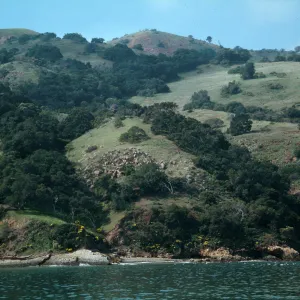 Santa Cruz Island
