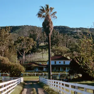 Stanton Ranch Headquarters, Santa Cruz Island