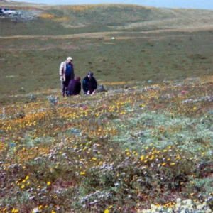 Santa Rosa Island
