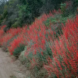 Buckhorn Road, north of LP