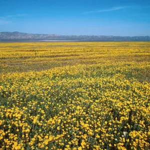 Soda Lake