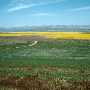 Soda Lake