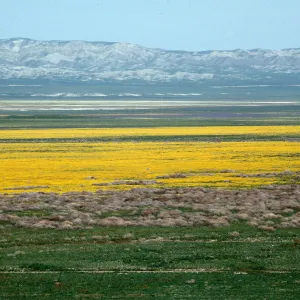 Soda Lake