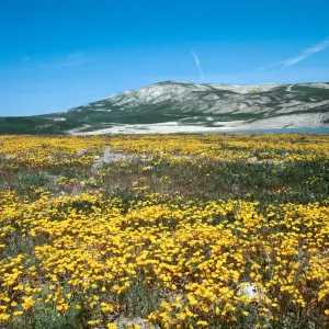 Soda Lake Road
