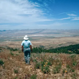 Caliente Peak, overlooking Cuyama Valley