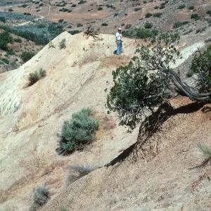 Ballinger Canyon--fossil search