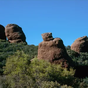 Queen Bee Campground