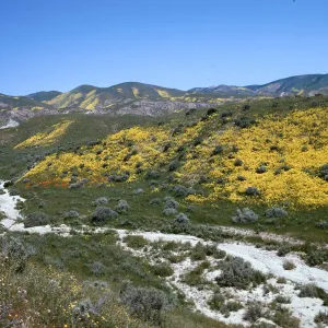 Temblor range