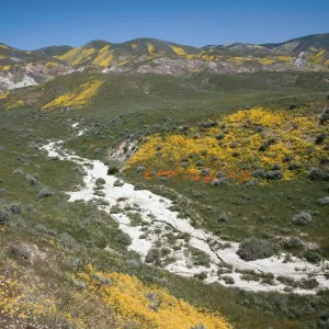 Temblor range