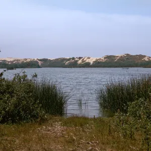 Dune Lakes