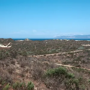 Nipomo dunes