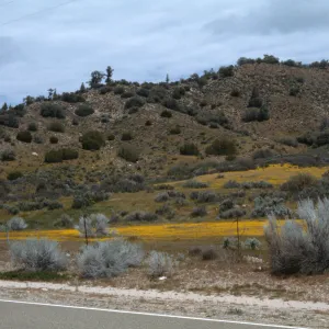 Ozena Valley