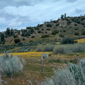 Ozena Valley