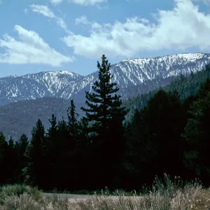 snow, Mt. Pinos