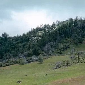 Snow, Ranger Peak