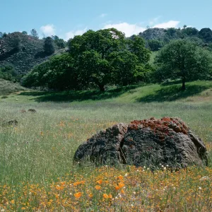 Sedgwick Ranch, Figueroa
