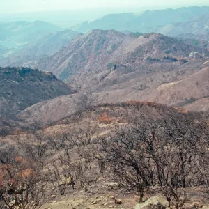 San Luis Obispo