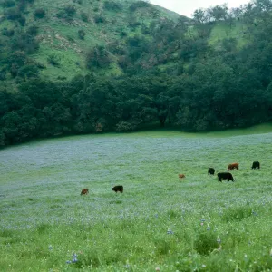 to Hi Mountain