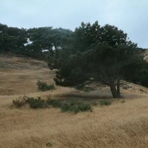 Santa Rosa Island