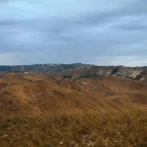 Santa Rosa Island