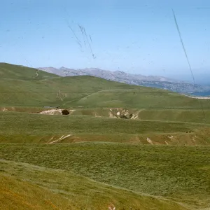Santa Cruz Island