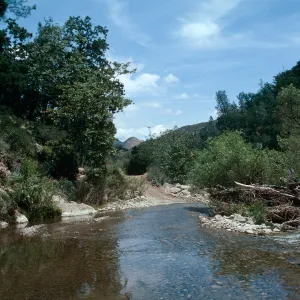 Manzana--Dabney cabin