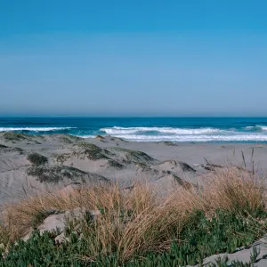 Guadalupe Dunes & surf