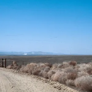 Carrizo Plain