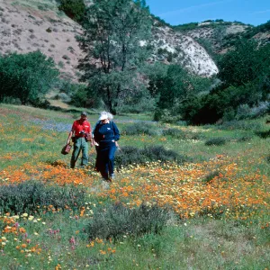 Shell Creek