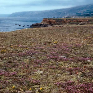 Arroyo De La Cruz Beach