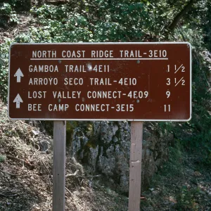 Cone Peak, North Coast Ridge Trail