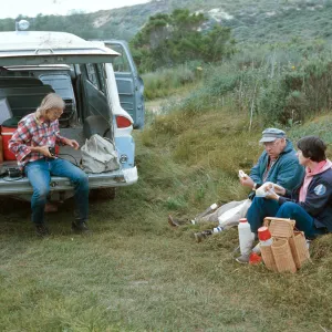 Paul Collins, Waldo Abbott & Jan Hamber, Dune Lakes