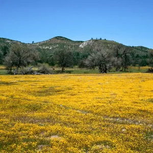 Shell Creek