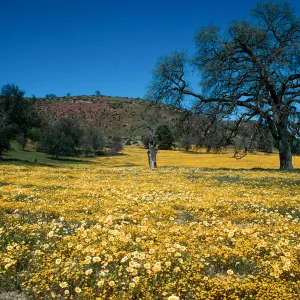 Shell Creek