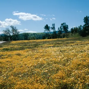 Shell Creek