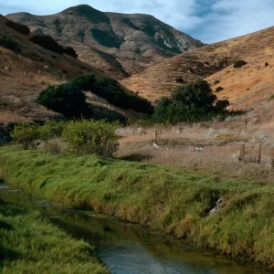Mouth of CaÃ±ada de Malva Real, Santa Cruz Island