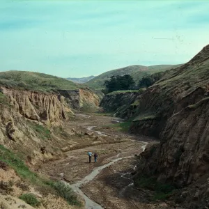 Looking up Sauces Canyon, Santa Cruz Island