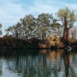Sacramento River, near Red Bluff