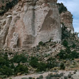 Wildhorse Canyon, Providence Mtns.