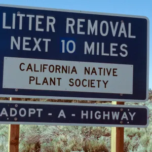 Westgard Pass, White Mtns.