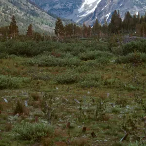 Carnegie, Alpine site, Hall Nat. area