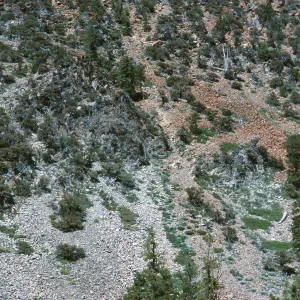 Ultramafic contact, Mt. Eddy