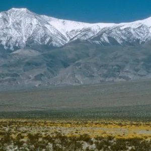 Telescope Peak, Panamint Range, Panamint Valley